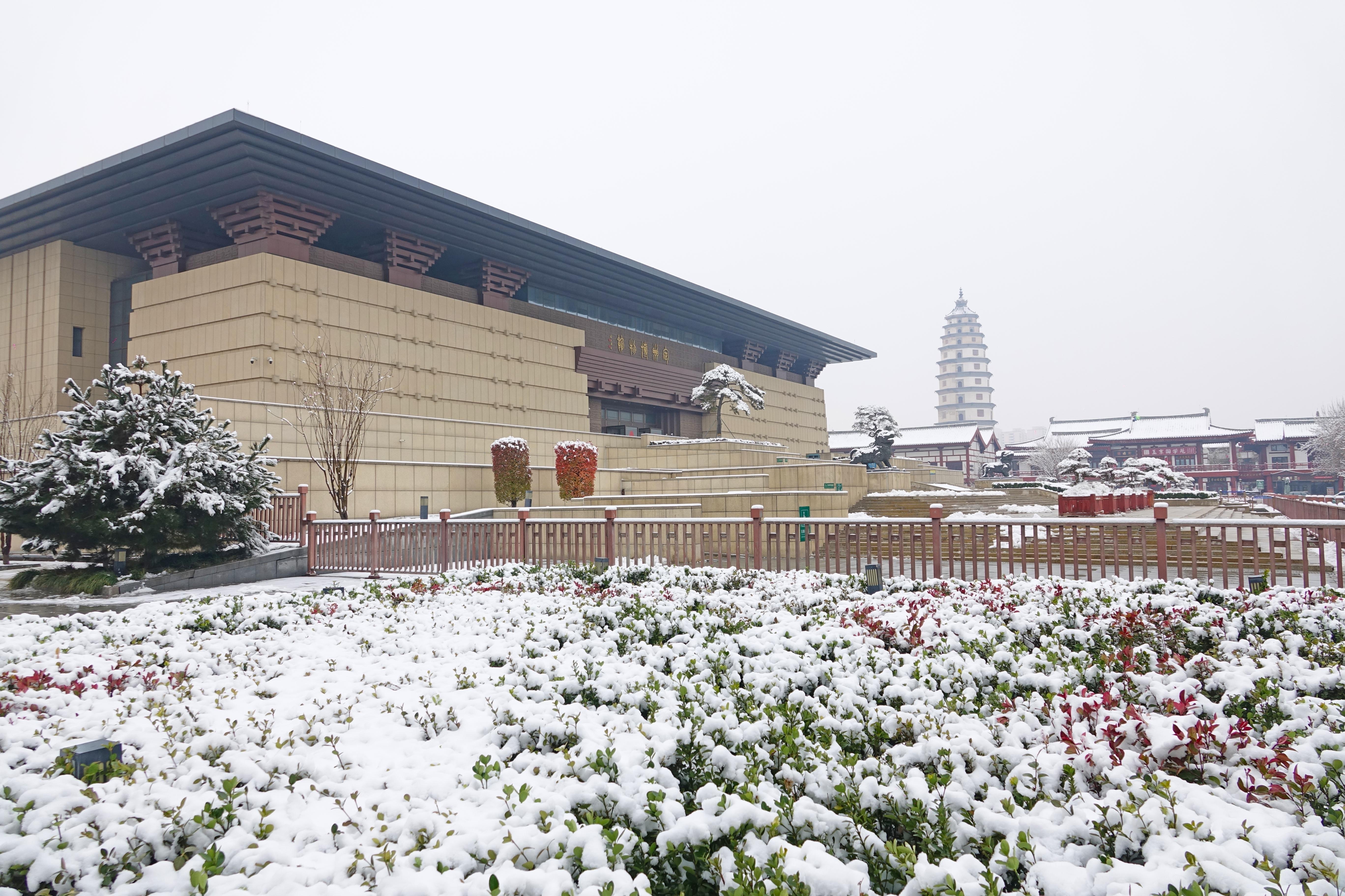 图集｜一场雪，邂逅定州古城的温柔