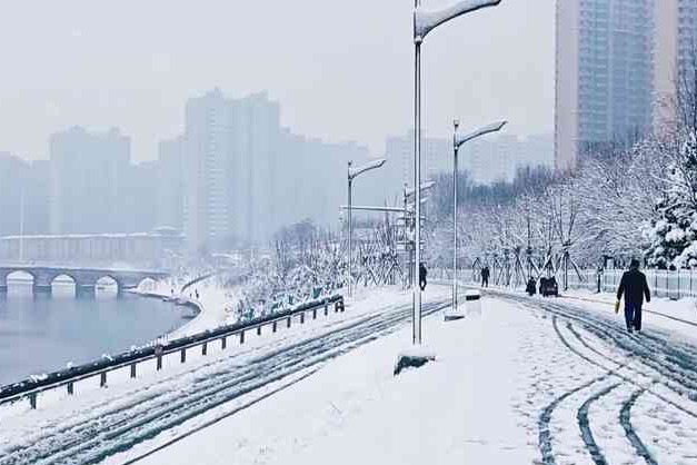 2026衡水春雪·静落生机