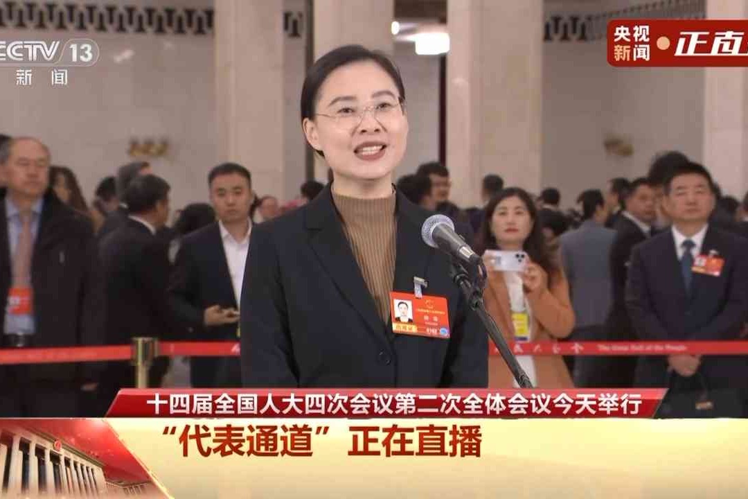 代表通道丨顾雪：一卡通乘、一卡通游 京津冀“小卡片”折射民生温度