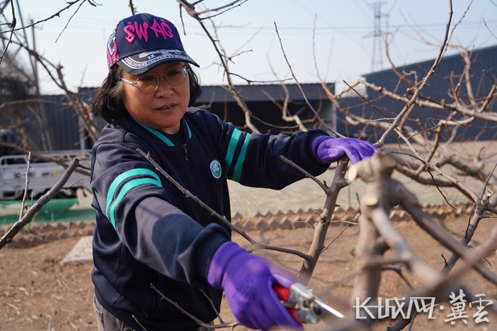 唐山开平：剪出乡村振兴好“丰”景