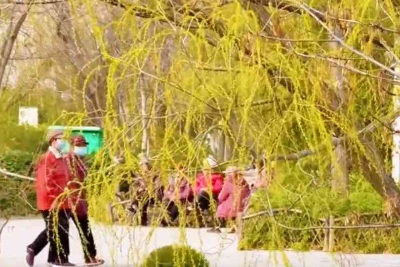 气温回暖 衡水处处春意浓