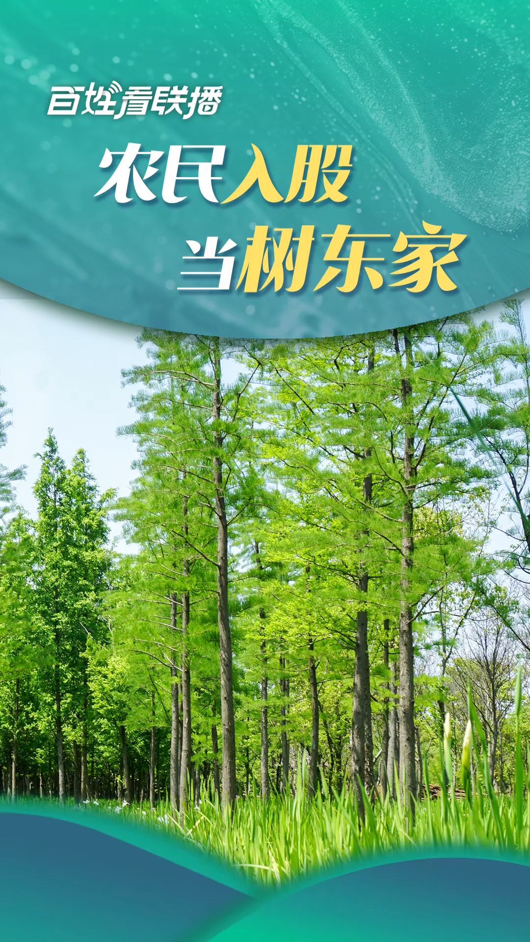 百姓看联播丨农民“入股”当“树东家”