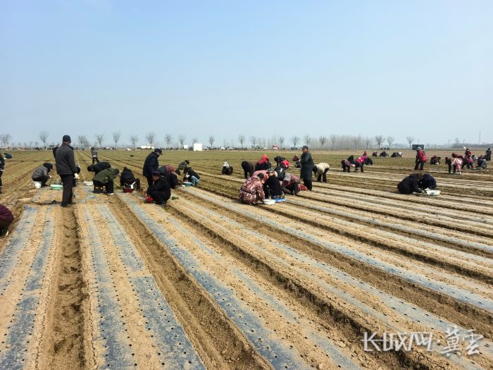 微信图片_20260313105728_75_186