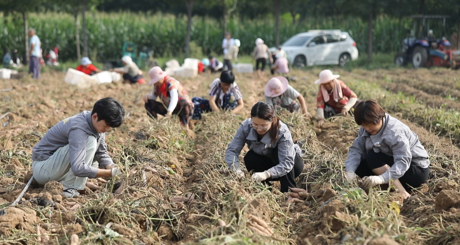 微信图片_20260314153619