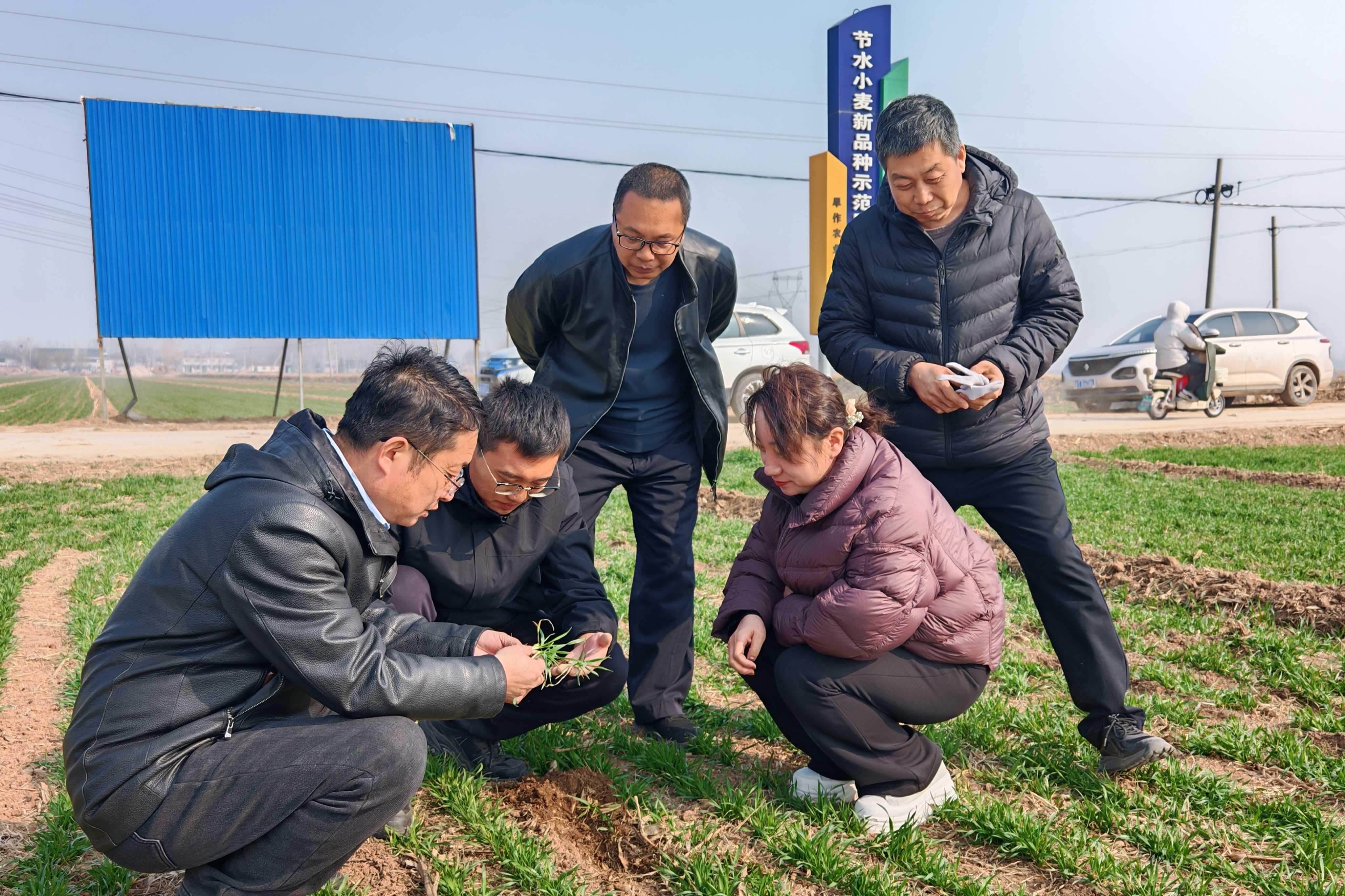 衡水市扎实推进春季农业生产纪实