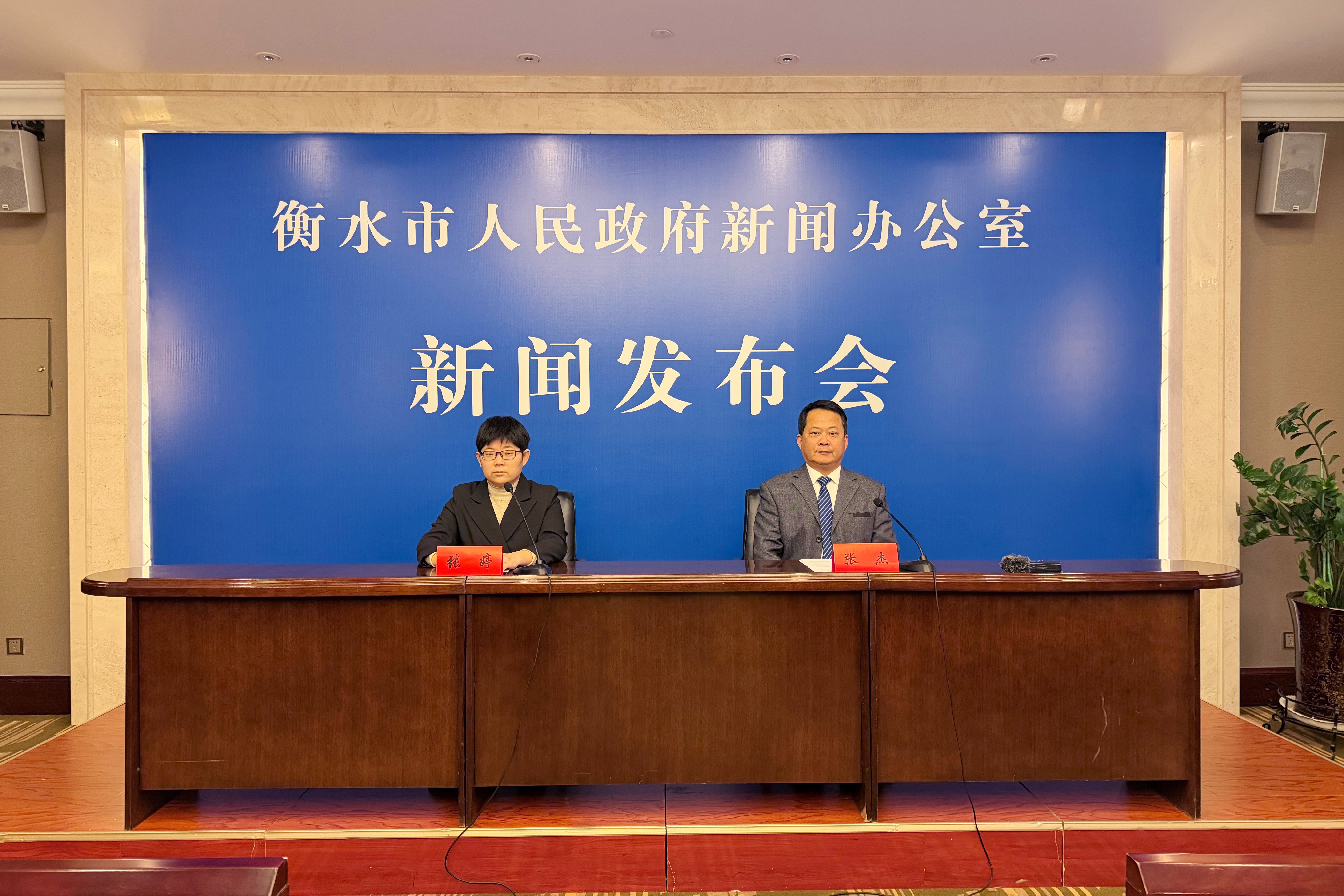 衡水市政府新闻办召开“衡水市2026年度中度以上失能老年人养老服务消费补贴政策”新闻发布会