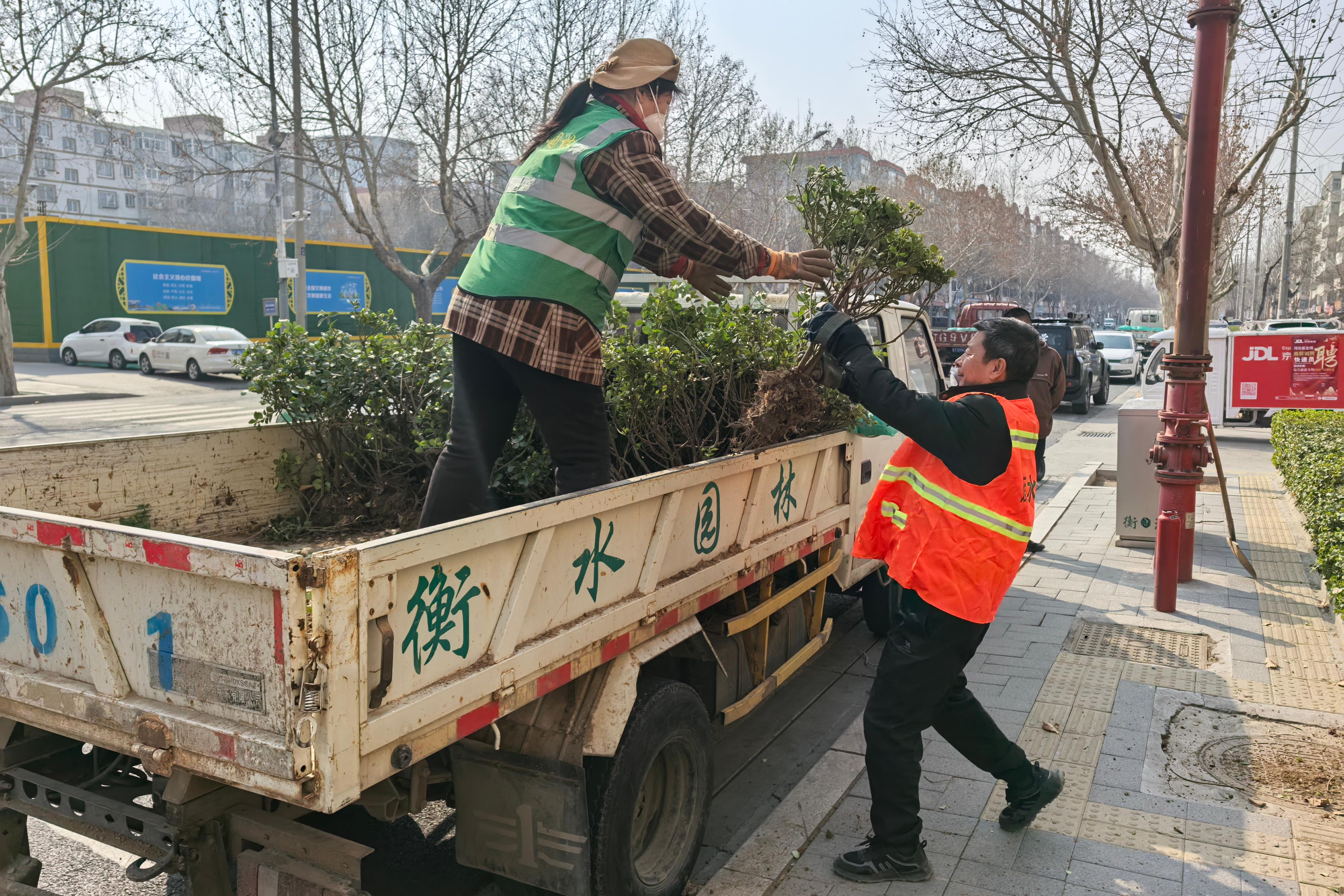 春“植”正当时！衡水市园林中心按下春季补植增绿“加速键”
