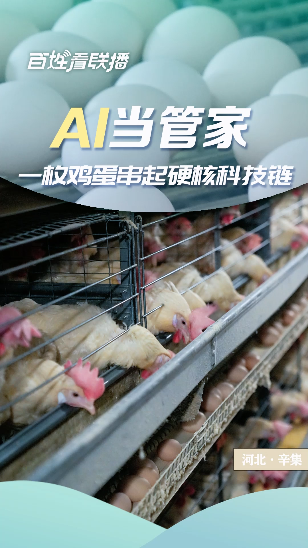 百姓看联播 | AI当管家 一枚鸡蛋串起硬核科技链