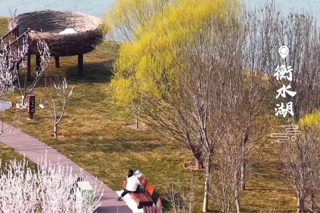 春满衡水湖，花香盈袖鸟入画~