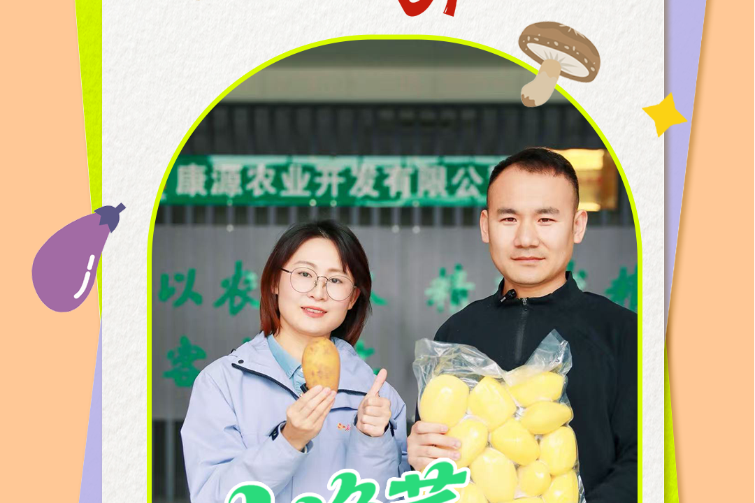 我们去奔县挖宝丨上净菜！固安鲜达，北京开饭