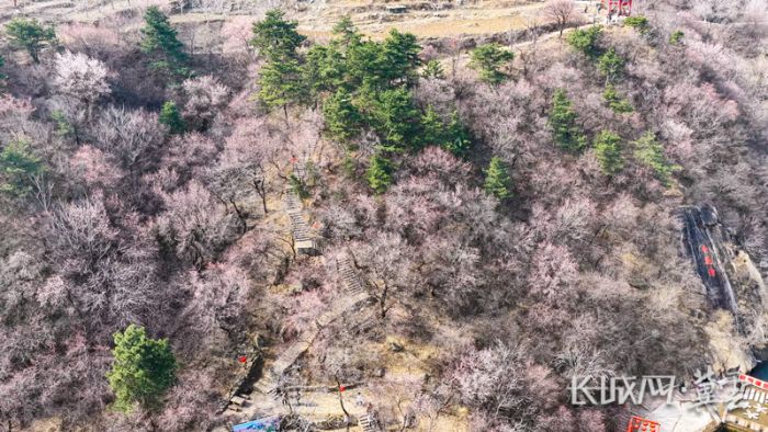 DJI_20260321100127_0303_D.MP4_20260321_152237.272