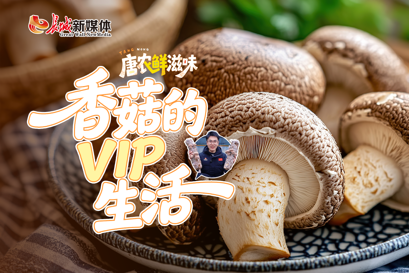 唐农鲜滋味丨香菇的VIP生活