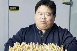 给钱、给技术、还给销路！谁对武邑芽苗菜这么“宠爱”？