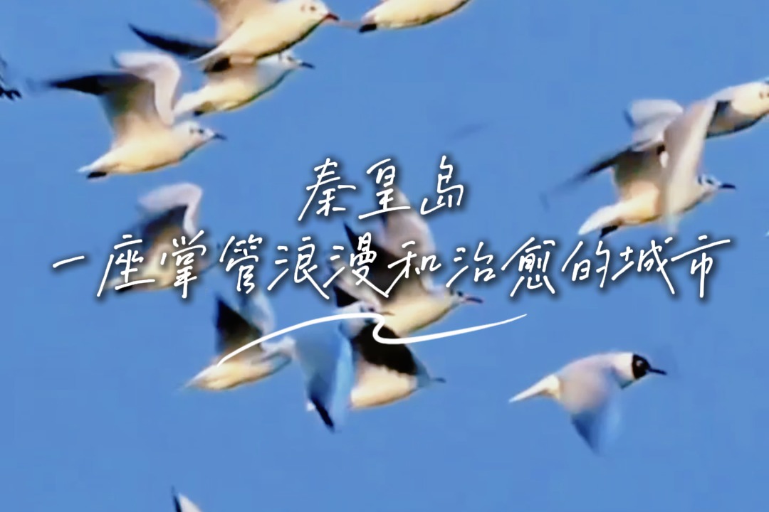 ​一见钟“秦”丨沙岸启航 心向蔚蓝