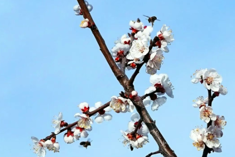 赴一场春日之约，创一个专属志愿名 ！