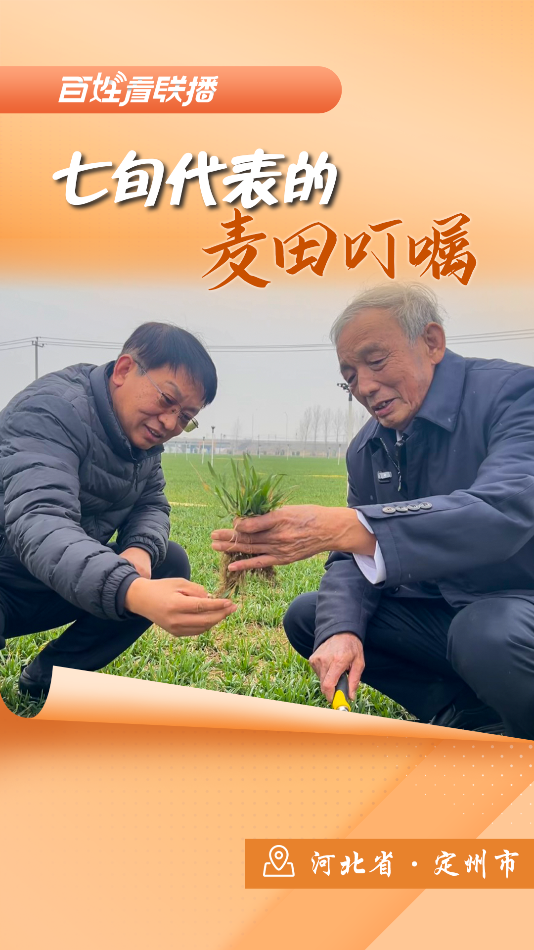 百姓看联播 | 七旬代表的麦田“叮嘱”