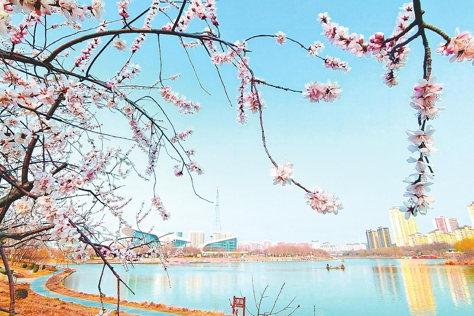 衡水：滏阳河畔春光美