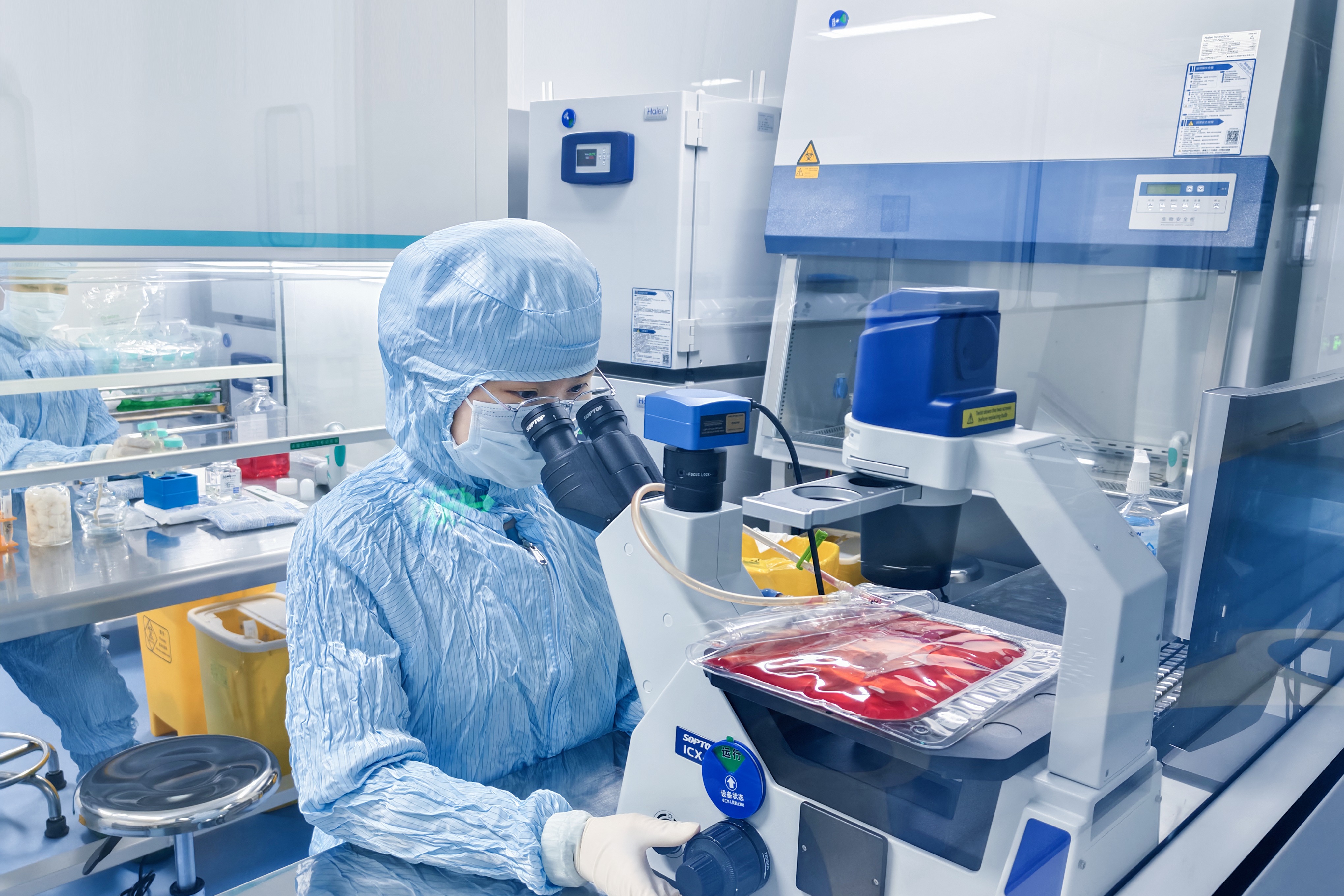 产业寻“新”丨细胞治疗 欧创柯亿给生命上保险