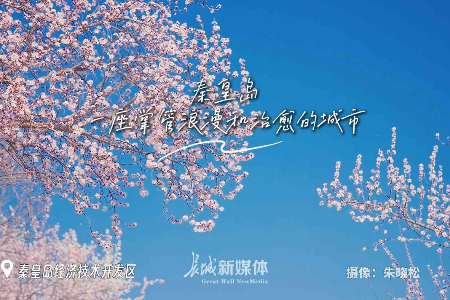 ​一见钟“秦”丨春风徐来 山桃花开