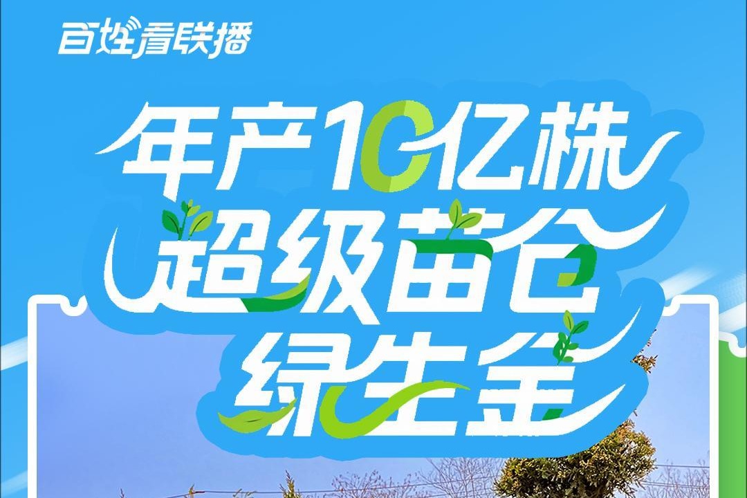 百姓看联播丨年产10亿株 “超级苗仓”绿生金