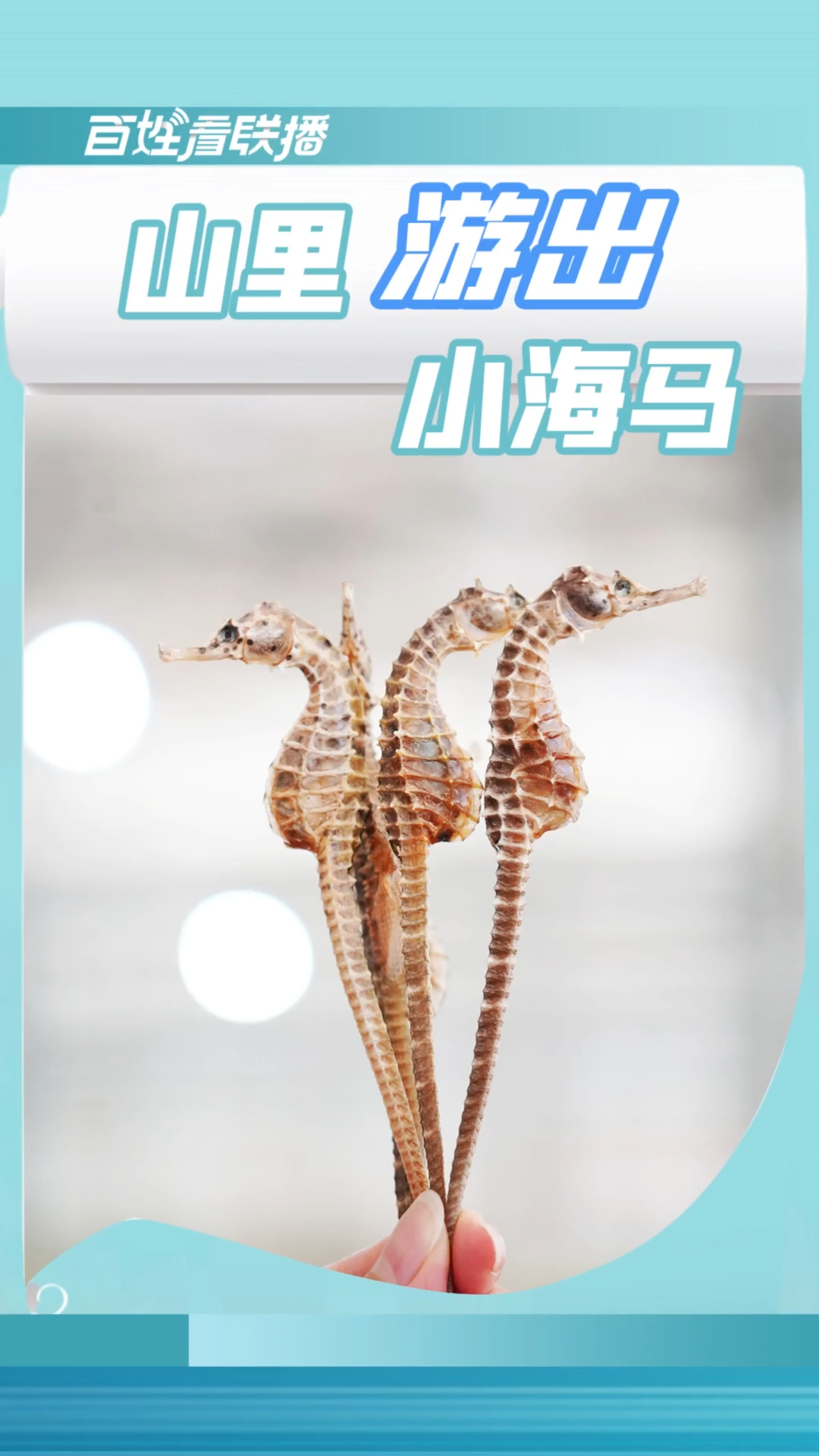 百姓看联播丨山里“游出”小海马