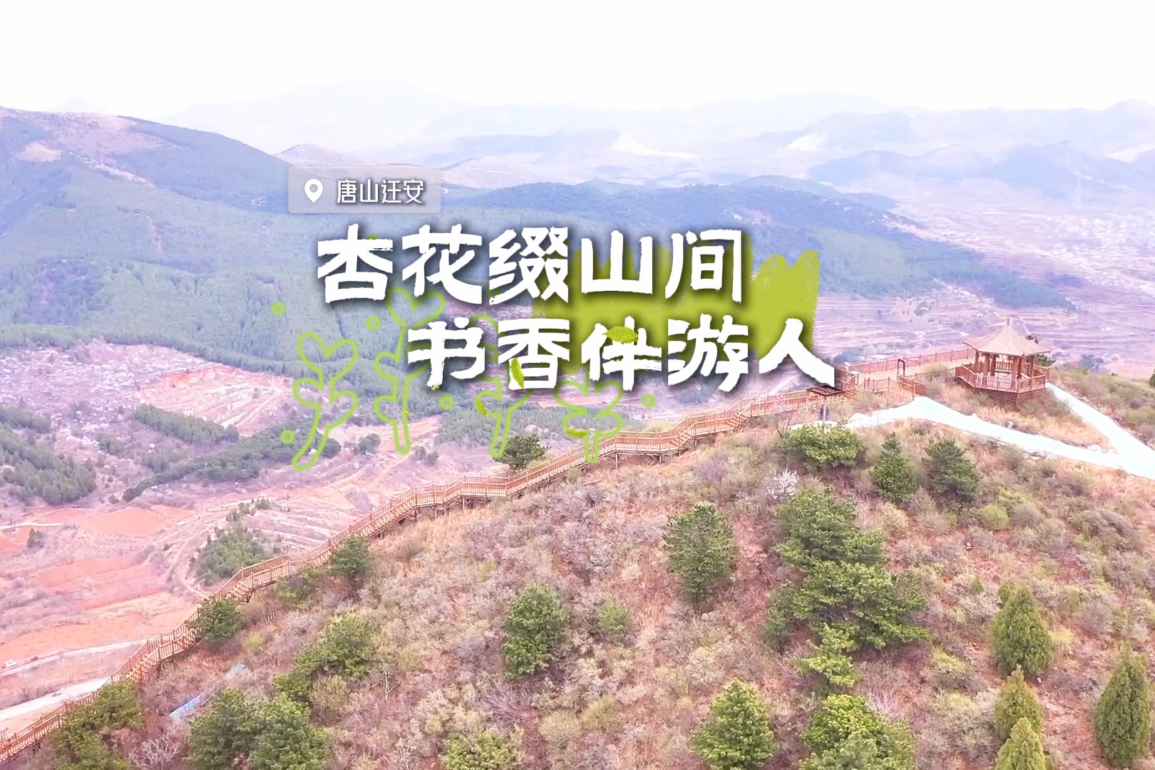 唐山迁安：杏花缀山间 书香伴游人