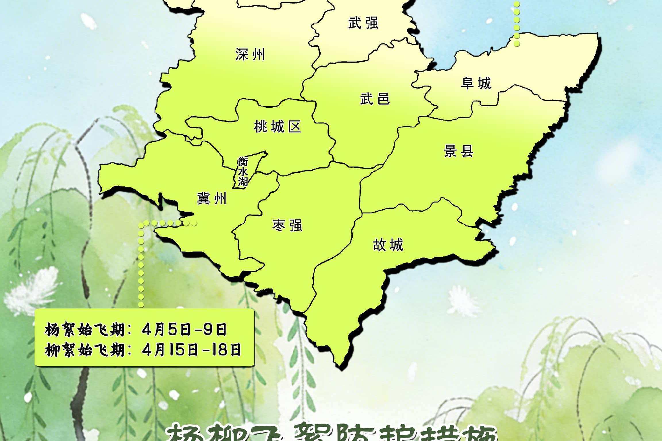 衡水杨柳絮预报地图出炉
