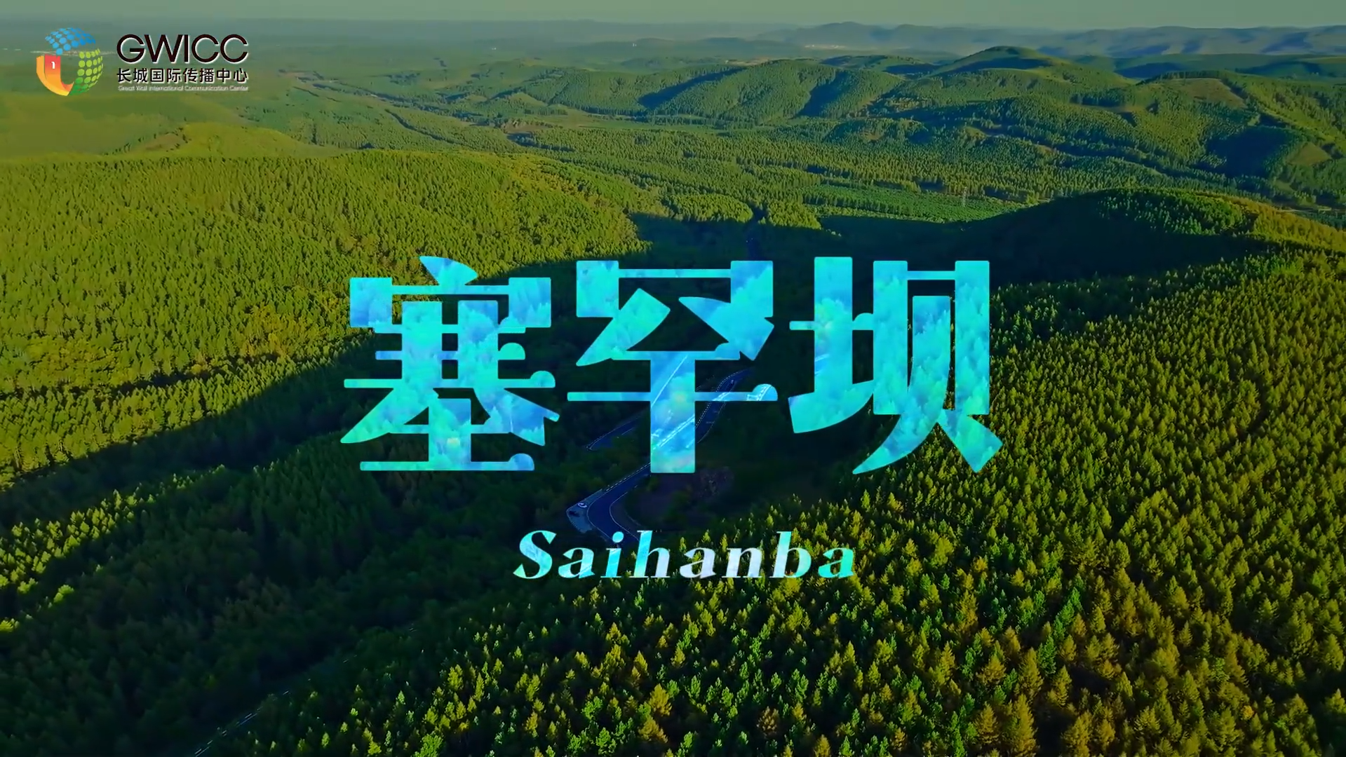 塞罕坝：从一棵树到百万林