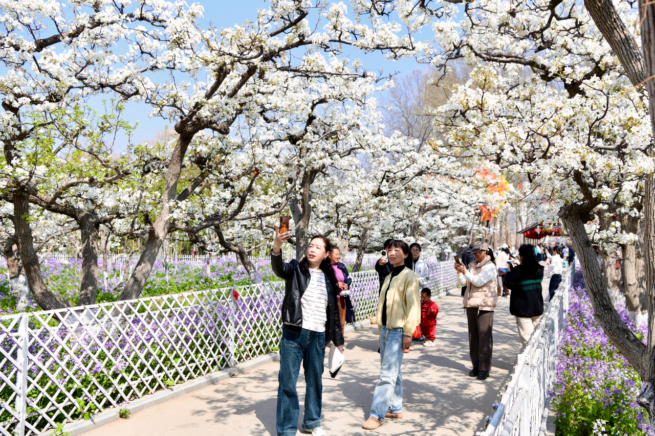 共赴春日盛宴！定州市第十四届赏花游园活动开幕