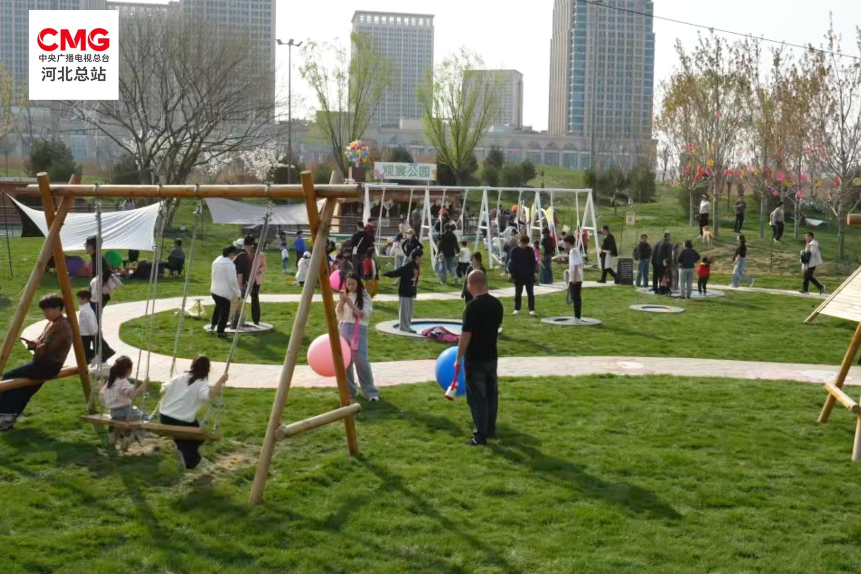 河北石家庄：百亩花海绚丽绽放 带来浓浓春意