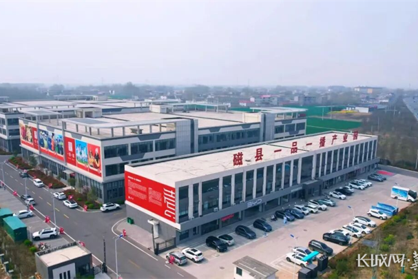 邯郸磁县：双园协同赋能 童装安防产业“智”变升级