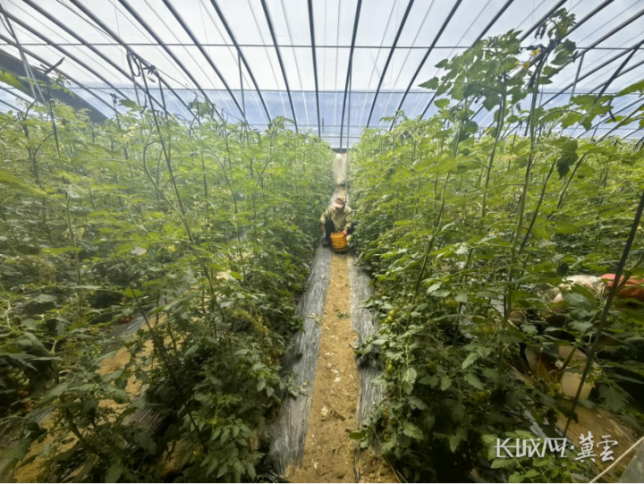 79d3bfa64b78923c0eabfd05d2a1a46_副本