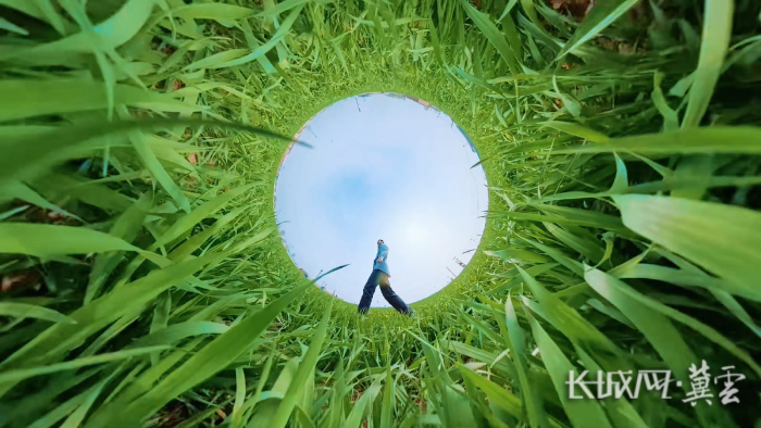 藁城小麦春管4(1)(1) 藁城小麦春管4(1)(1)