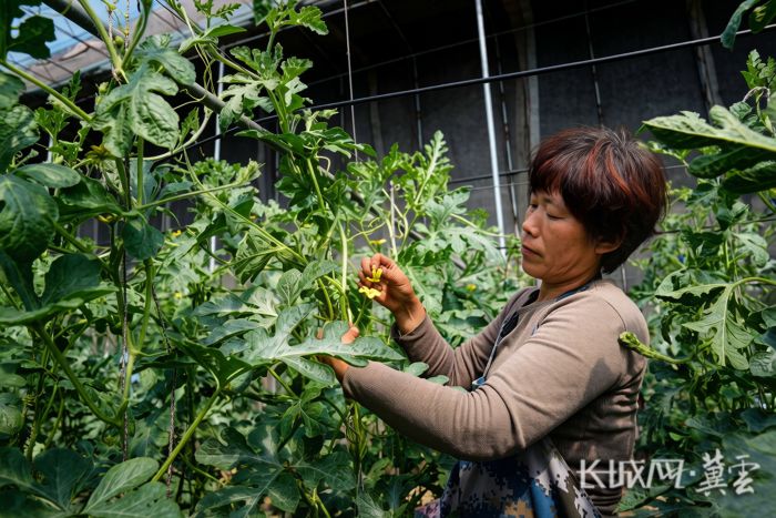 3e43a8abdaf2ebebc8797c7ee6cf46a6