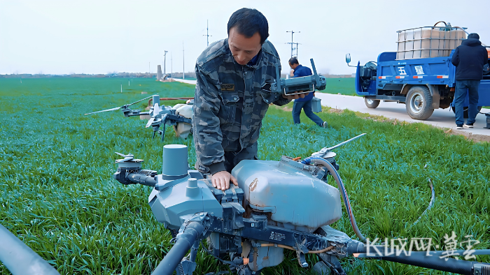 藁城小麦春管3(1) 藁城小麦春管3(1)