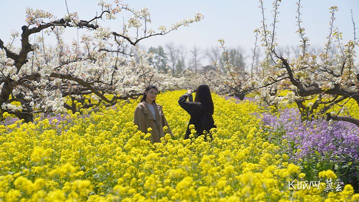 晋州市周家乡游客打卡