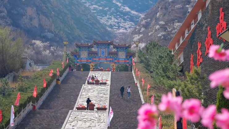 张家口市下花园区：山寺桃花始盛开