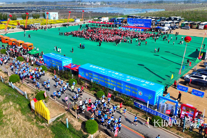 以花兴农、以木强产！衡水武邑走出特色发展路