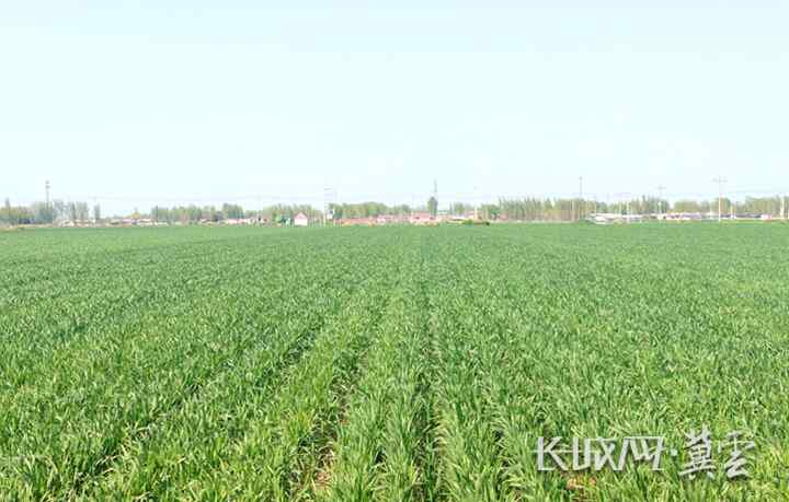 微信图片_20260413164953_275_15_副本