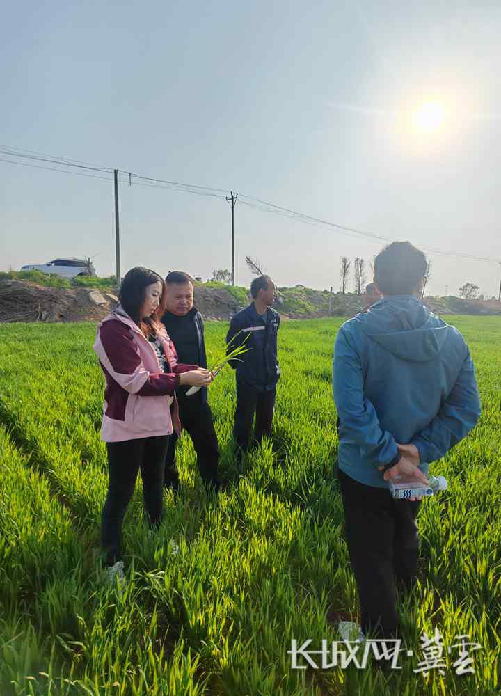 微信图片_20260413164936_274_15_副本