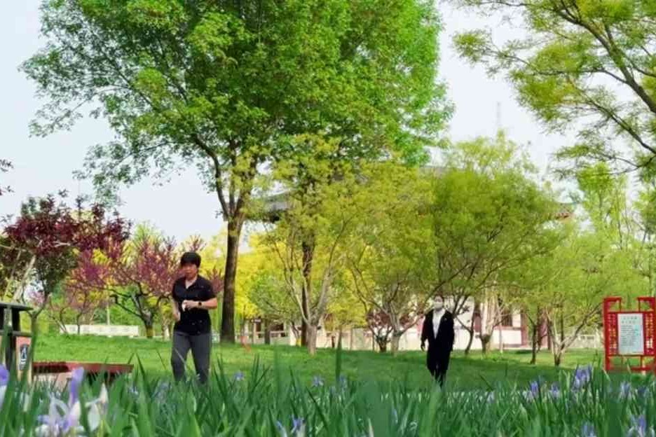 春暖景宜人 衡水孔颖达公园人气旺