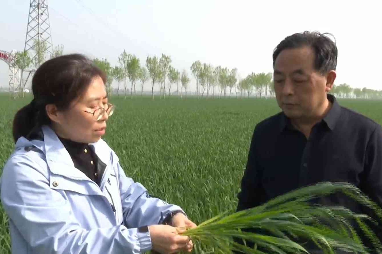 以科技润麦田 以春管保丰收