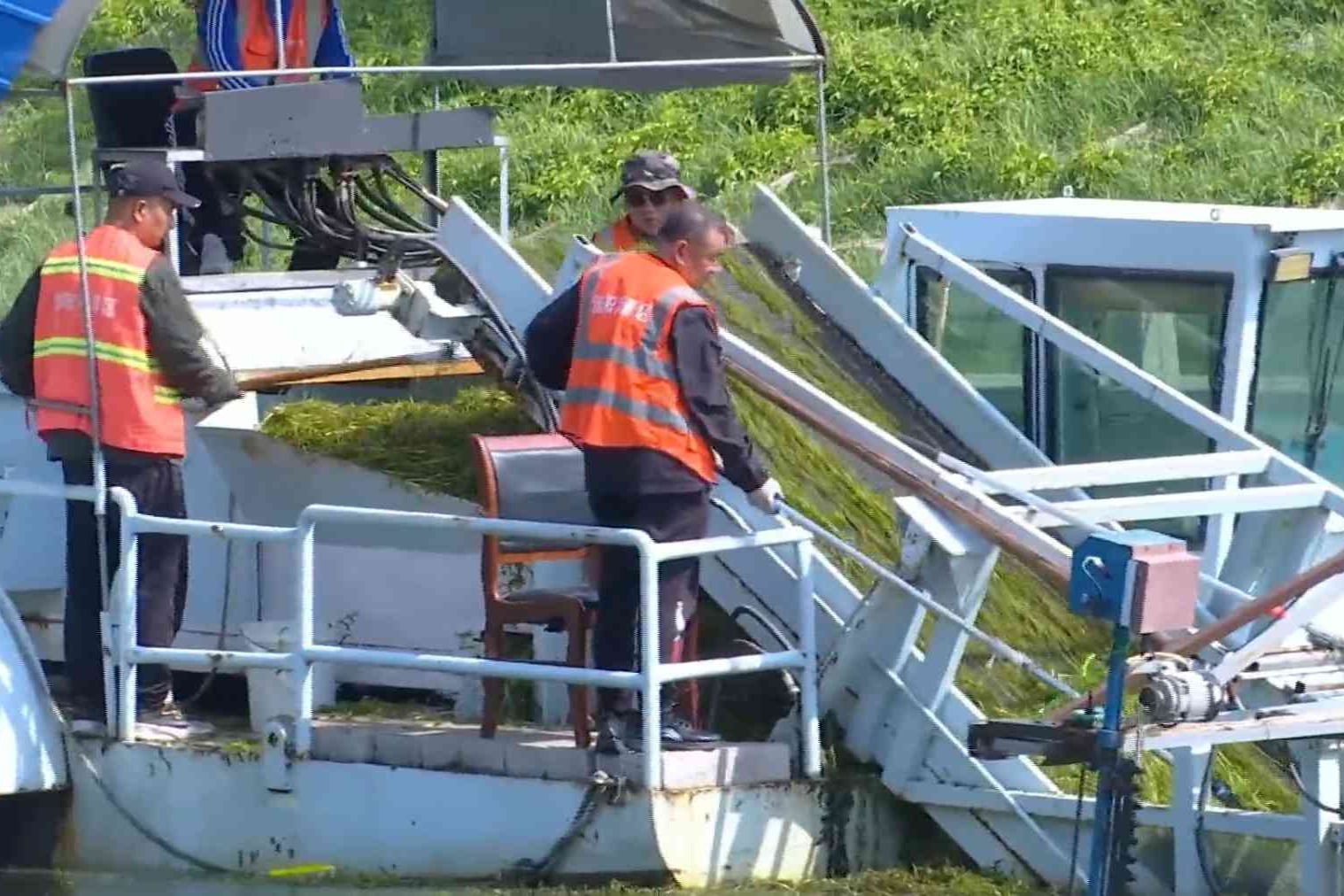 市城管局：集中清理滏阳河水草 美化河道环境