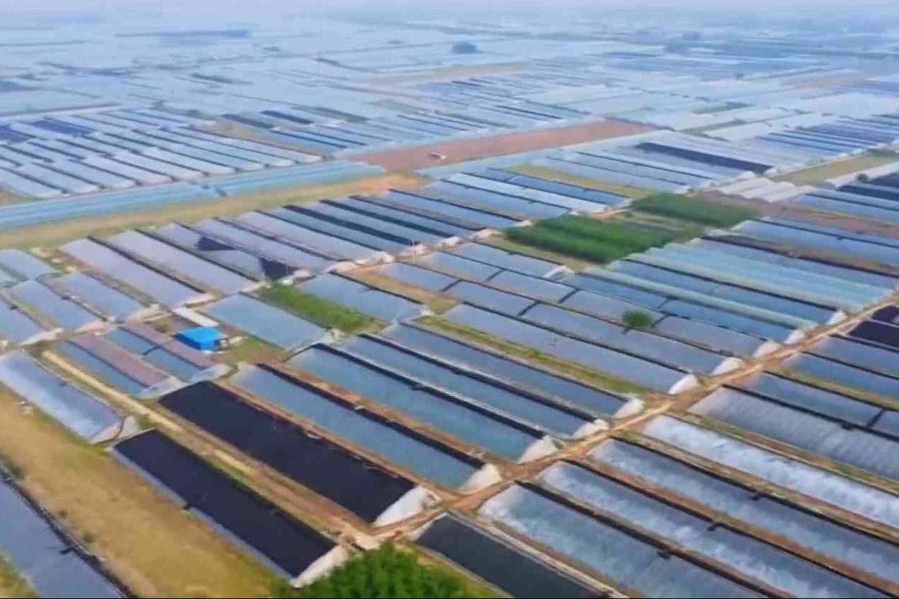 衡水市一季度经济运行稳中向好 实现“开门红”