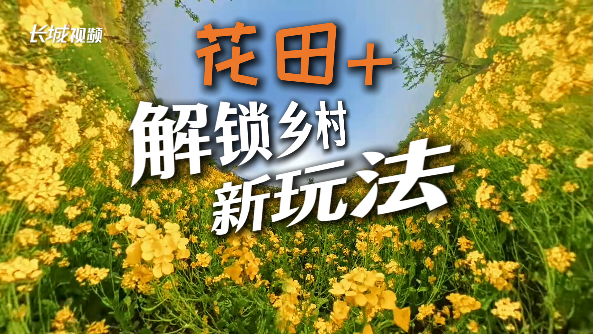走在乡间小路上丨“花田+”解锁乡村新玩法