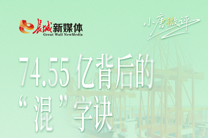 小唐微评丨74.55亿背后的“混”字诀