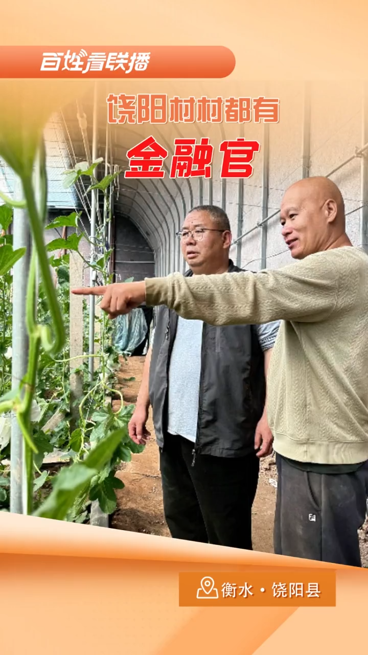 百姓看联播 | 饶阳村村都有金融官
