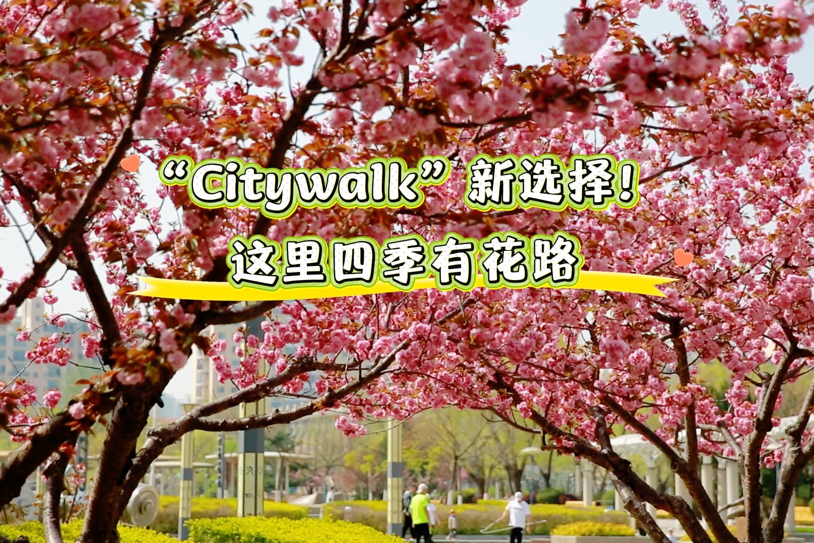 秦皇岛：“Citywalk”新选择！这里四季有花路
