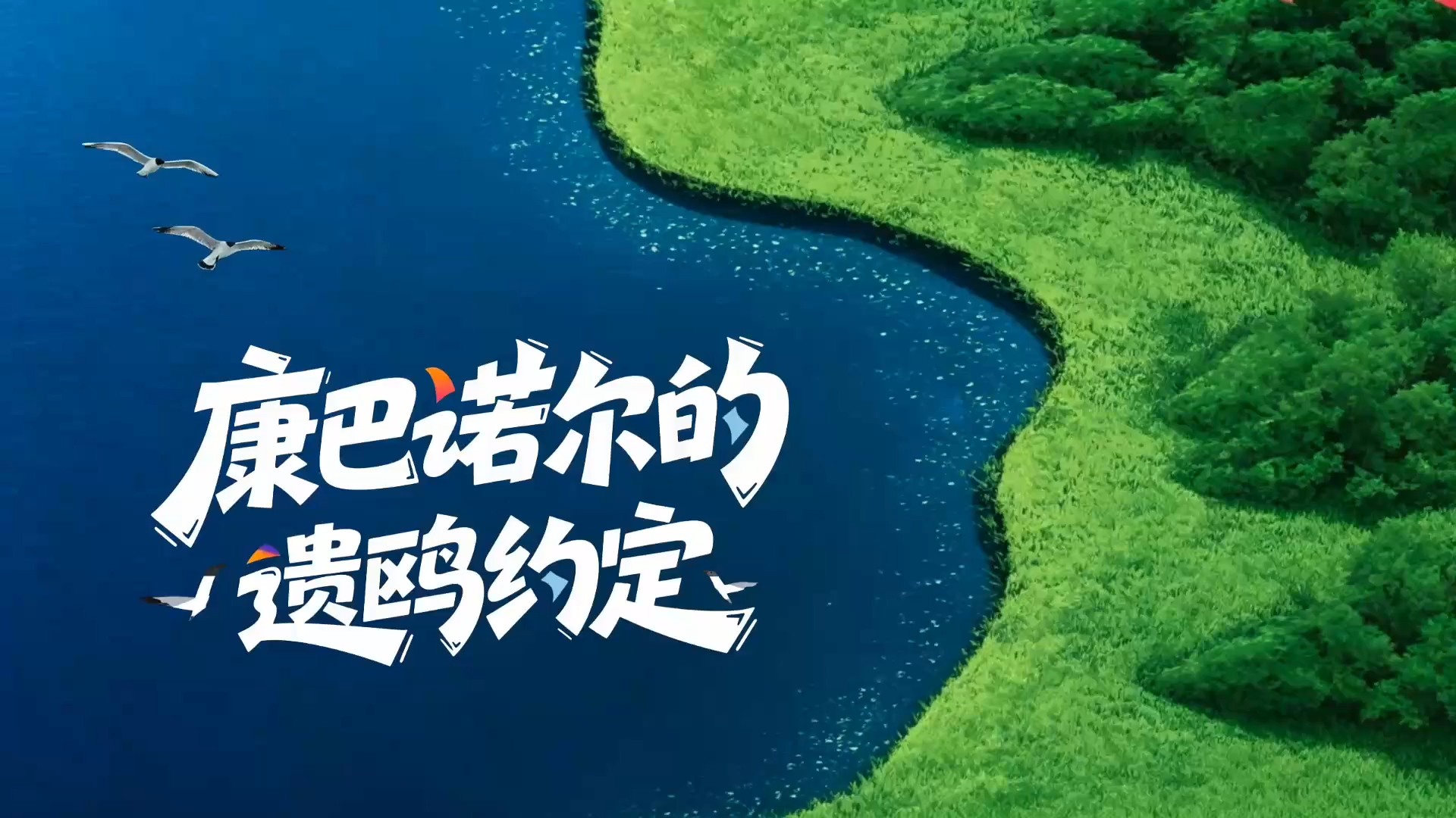 长城视频｜康巴诺尔的“遗鸥约定”