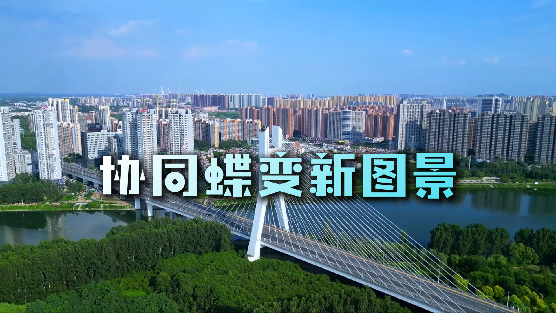 数据新闻丨港口 良田 产业园 协同蝶变新图景